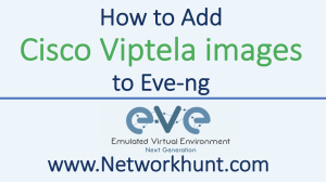 how to add cisco viptela images